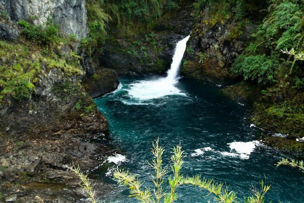 Cerro Tronador + Ventisquero + Cascada Alerces